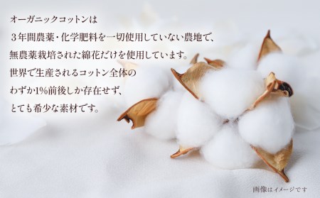 オーガニック コットンパフ Ｍサイズ（200枚×4袋）｜ 化粧 メイク パッティング