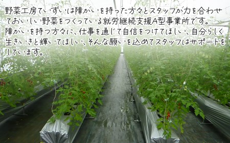 【先行予約】 ミニトマト「あい子」 約1㎏　野菜工房ていずい　2024年5月中旬～7月下旬発送