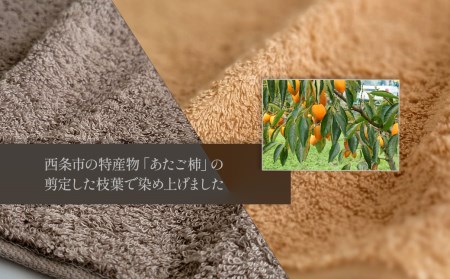 「地域の自然を染めるタオル」 タオルハンカチ 3枚セット(3色)