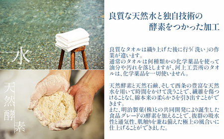 「地域の自然を染めるタオル」 フェイスタオル 2枚セット（うす緑／絹かわなす）