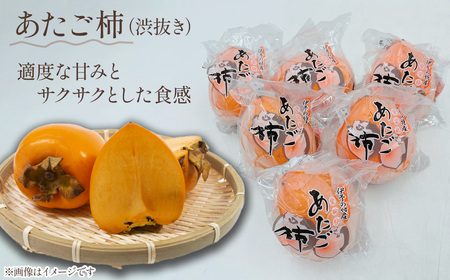 【先行予約】 柿の食べ比べ　干し柿・柿セット　2025年12月発送　あたご柿 あんぽ柿 柿