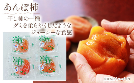 【先行予約】 柿の食べ比べ　干し柿・柿セット　2025年12月発送　あたご柿 あんぽ柿 柿