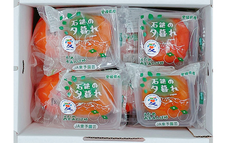 【先行予約】 柿の食べ比べ　干し柿・柿セット　2025年12月発送　あたご柿 あんぽ柿 柿