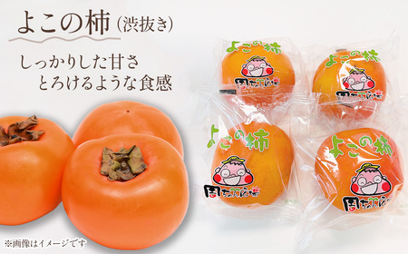 ブランド登録なし のぼり旗 2枚セット 秋の味覚 柿 (緑) JAS-279