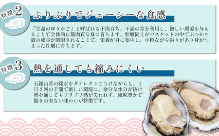 瀬戸内海産 殻付き牡蠣 「瑞宝（ずいほう）」＜10個入り＞ 生食可 真ガキ シングルシード 養殖 生牡蠣