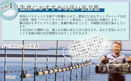 瀬戸内海産 殻付き牡蠣 「瑞宝（ずいほう）」＜20個入り＞ 生食可 真ガキ シングルシード 養殖 生牡蠣
