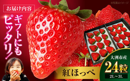 いちご 1箱 いちご（紅ほっぺ）人気[AGAR001]