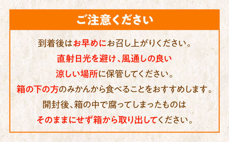 【1月上旬より順次発送】【まごころ手選り手詰め】温州みかん 約4kg [AGBW002] 愛媛みかん愛媛みかん愛媛みかん愛媛みかん愛媛みかん