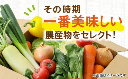 フルーツ と 野菜 セット（6種以上）[AGAP001] 野菜 セット 野菜