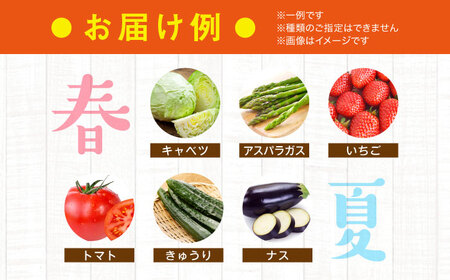 数量限定☆2か月だけのセット🎁】甘さいっぱい！お得いっぱい
