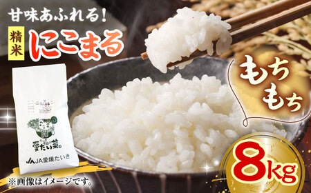 令和6年産新米 お米 にこまる 8kg 大洲市/愛たい菜[AGAP006] お米白米お米白米お米白米お米白米