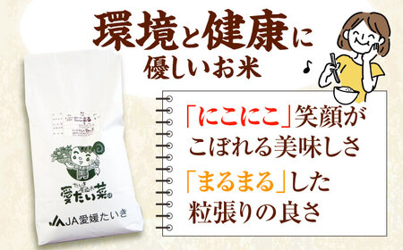 令和6年産新米 お米 にこまる 8kg 大洲市/愛たい菜[AGAP006] お米白米お米白米お米白米お米白米