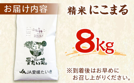 令和6年産新米 お米 にこまる 8kg 大洲市/愛たい菜[AGAP006] お米白米お米白米お米白米お米白米