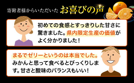 【先行予約】【11月下旬から順次発送】【期間・数量限定】愛媛限定栽培！ 紅まどんな 4Lから2L玉サイズ 約3kg（8玉から12玉入）化粧箱入  愛媛県大洲市/愛媛たいき農業協同組合[AGAO008]くだもの果物フルーツみかん紅まどんなくだもの果物フルーツみかん紅まどんなくだもの果物フルーツみかん紅まどんなくだもの果物フルーツみかん紅まどんなくだもの果物フルーツみかん紅まどんなくだもの果物フルーツ