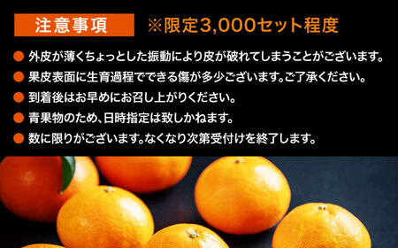 【先行予約】【11月下旬から順次発送】【期間・数量限定】愛媛限定栽培！ 紅まどんな 4Lから2L玉サイズ 約3kg（8玉から12玉入）化粧箱入  愛媛県大洲市/愛媛たいき農業協同組合[AGAO008]くだもの果物フルーツみかん紅まどんなくだもの果物フルーツみかん紅まどんなくだもの果物フルーツみかん紅まどんなくだもの果物フルーツみかん紅まどんなくだもの果物フルーツみかん紅まどんなくだもの果物フルーツ