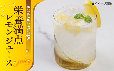 レモン【冷凍】 くし切り 1kg×2袋 レモン 国産[AGBN045]