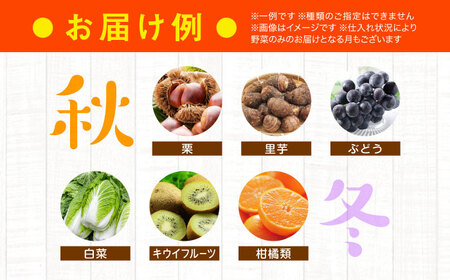 野菜セット【全3回定期便】（6種以上）野菜 セット[AGAP015]