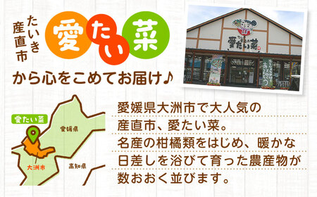 【12回定期便】野菜（6種以上）定期便[AGAP017]