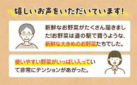 【全3回定期便】産地直送！鮮度抜群！旬を味わう新鮮野菜と果物の詰め合わせセレクションボックス（8種以上） やさいセット 野菜セット 野菜 果物 フルーツ 野菜定期便 フルーツ定期便 愛媛県大洲市/たいき産直市愛たい菜[AGAP018] やさいセット 野菜セット 野菜 果物 フルーツ 野菜定期便 フルーツ定期便