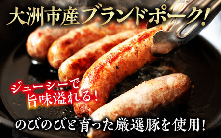 ベーコン【全3回定期便】ウィンナーセット（大） ベーコン[AGAZ022]