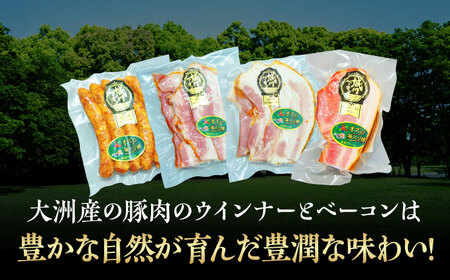 ベーコン【全3回定期便】ウィンナーセット（大） ベーコン[AGAZ022]