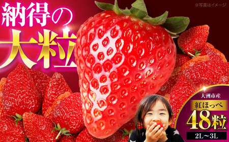 いちご 2パック（紅ほっぺ）いちご[AGAR002]