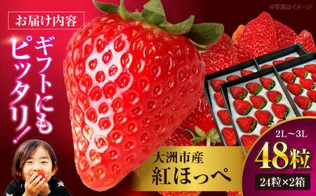 いちご 2パック（紅ほっぺ）いちご[AGAR002]