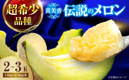 明幸園 魚住店 | 🍈メロン苗が入荷しております！ サントリー