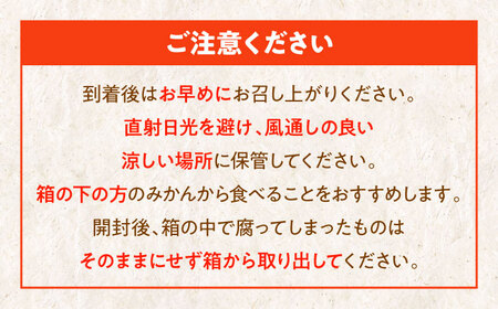 温州みかん【訳あり】温州みかん 10kg 【2026年1月上旬から順次発送】[AGBW009]