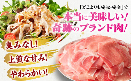 豚肉 4Xポーク 切り落としセット 1650g 豚肉[AGCY001]