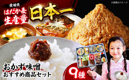 味噌 おかず味噌＆おすすめ商品セット9品 味噌[AGBU002]
