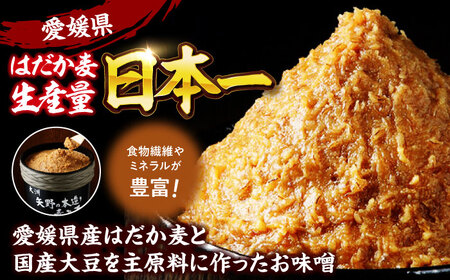 味噌 おかず味噌＆おすすめ商品セット9品 味噌[AGBU002]