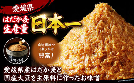 味噌 定番麦味噌たっぷり1kg＆おかず味噌セット8品 味噌[AGBU003]