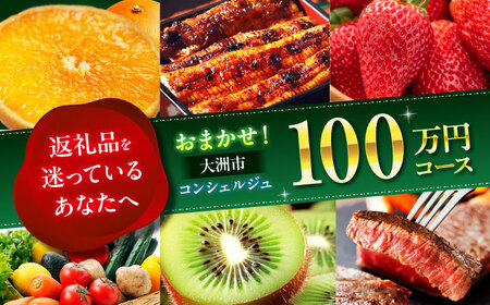 チケット【コンシェルジュ】返礼品おまかせ！寄附額100万円コース チケット[AGXX028]