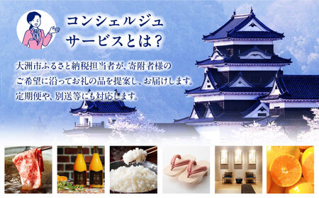 チケット【コンシェルジュ】返礼品おまかせ！寄附額200万円コース チケット[AGXX030]