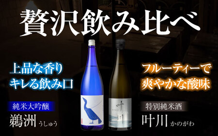 日本酒 飲み比べ 2種 日本酒[AGCP810]