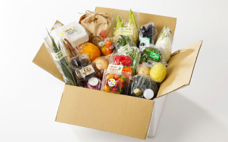 【全3回】【2ヶ月に1回】 野菜 定期便 （野菜・果物・お米・卵）[AGBX039]定期便