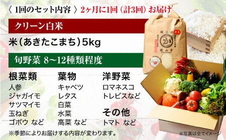 【全3回定期便 】【2ヶ月に1回】クリーン白米 5kg+旬野菜[AGBX040] お米 定期便