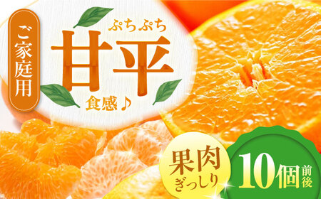 甘平【ご家庭用】【2026年2月中旬から順次発送】甘平 10個前後 [AGDC004]