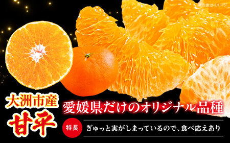 甘平 2.5kg 【贈答用】【2月下旬より順次発送】甘平 かんぺい[AGAR014]