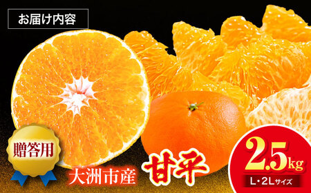 甘平 2.5kg 【贈答用】【2月下旬より順次発送】甘平 かんぺい[AGAR014]