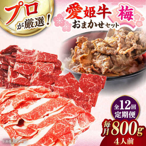 【全12回 定期便 】「愛姫牛」店主におまかせ旬セット【梅】800g（4人前） 小間切れ 角切り 赤身 牛肉 冷凍 冷凍肉 お肉[AGCC059]