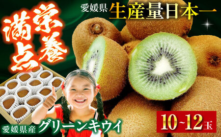 グリーンキウイ（10-12玉）【先行予約】【2026年1月中旬から順次発送】グリーンキウイ[AGBA016]