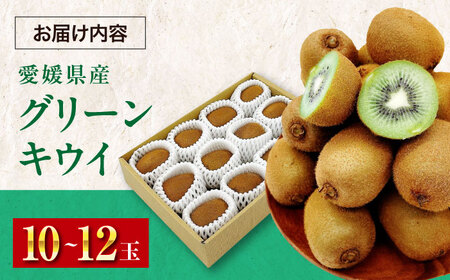グリーンキウイ（10-12玉）【先行予約】【2026年1月中旬から順次発送】グリーンキウイ[AGBA016]