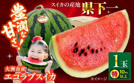 【先行予約】【2026年5月下旬から順次発送】エコラブスイカ 特1玉 スイカ 西瓜 果物 フルーツ /フジ・アグリフーズ [AGBA017]