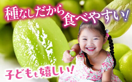 シャインマスカット【2026年8月中旬から順次発送】シャインマスカット2kg（4から6房）シャインマスカット[AGDB002]