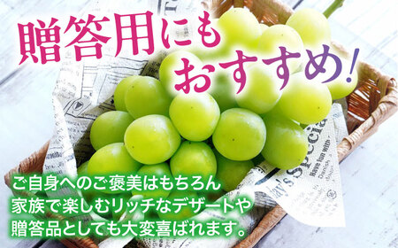 シャインマスカット【2026年8月中旬から順次発送】シャインマスカット2kg（4から6房）シャインマスカット[AGDB002]
