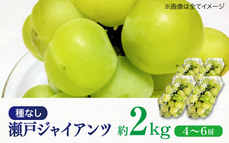 ぶどう【2026年8月下旬から順次発送】瀬戸ジャイアンツ 2kg（4から6房）ぶどう[AGDB003]