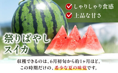 スイカ【祭りばやし】 2L×2玉【2026年6月上旬から順次発送】スイカ[AGDH002]