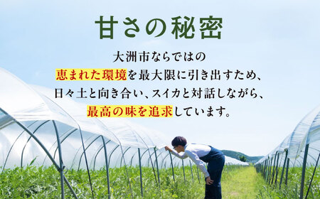 スイカ【祭りばやし】 3L×2玉【2026年6月上旬から順次発送】スイカ[AGDH003]